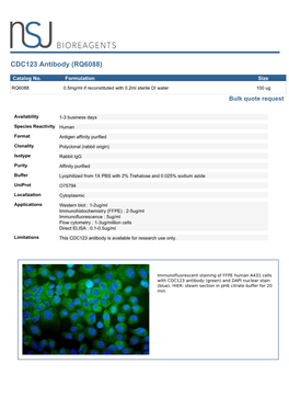 CDC123 Antibody (RQ6088)