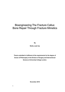 Bioengineering the Fracture Callus: Bone Repair Through Fracture Mimetics