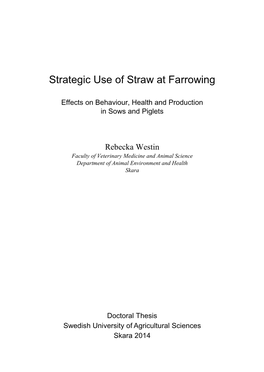 Strategic Use of Straw at Farrowing