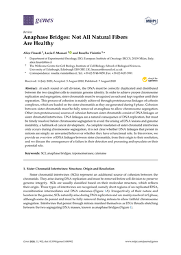 Anaphase Bridges: Not All Natural Fibers Are Healthy