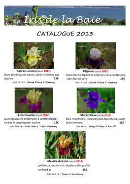 Catalogue 2013