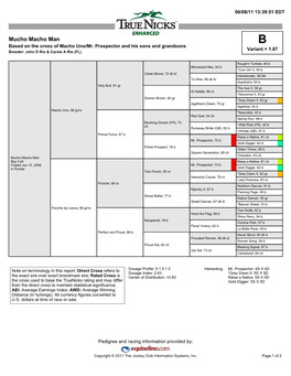 Mucho Macho Man B Based on the Cross of Macho Uno/Mr