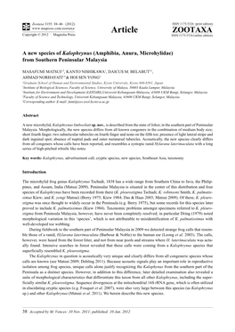 A New Species of Kalophrynus (Amphibia, Anura, Microhylidae) from Southern Peninsular Malaysia