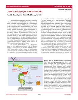 IRAK1: Oncotarget in MDS and AML