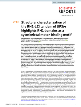 Structural Characterization of the RH1-LZI Tandem of JIP3/4