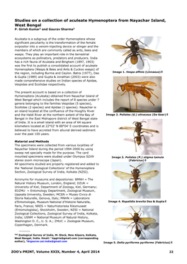 Studies on a Collection of Aculeate Hymenoptera from Nayachar Island, West Bengal P