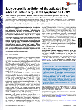 Subtype-Specific Addiction of the Activated B-Cell Subset of Diffuse