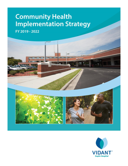 2019 Implementation Strategy