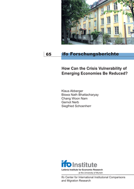 How Can the Crisis Vulnerability of Emerging Economies Be Reduced?