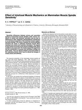 Effect of Lntrafusal Muscle Mechanics on Mammalian Muscle Spindle Sensitivity’