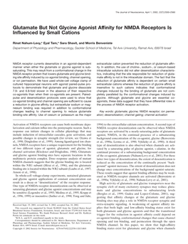 Glutamate but Not Glycine Agonist Affinity for NMDA Receptors Is