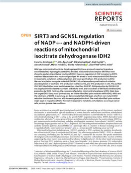 And NADPH-Driven Reactions of Mitochondrial Isocitrate