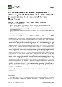 Fire Severity Drives the Natural Regeneration of Cytisus Scoparius L. (Link) and Salix Atrocinerea Brot