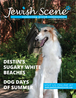 Dog Days of Summer Destin's Sugary White Beaches