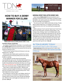 How to Buy a Derby Winner for $1,000