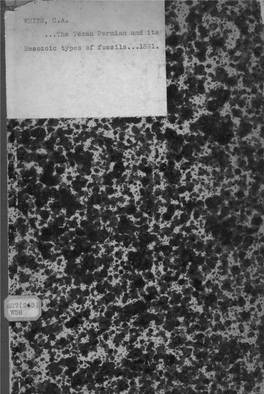 The Texan Permian and Its Mesozoic Types of Fossils.. .1891