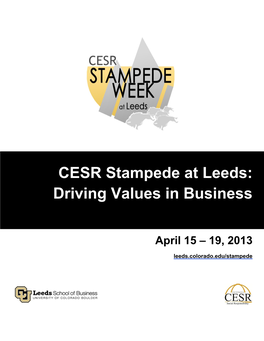 CESR Stampede at Leeds: Driving Values in Business