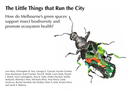 The Little Things That Run the City How Do Melbourne’S Green Spaces Support Insect Biodiversity and Promote Ecosystem Health?