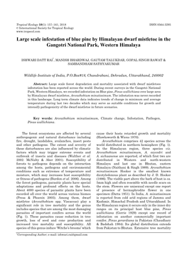 Large Scale Infestation of Blue Pine by Himalayan Dwarf Mistletoe in the Gangotri National Park, Western Himalaya