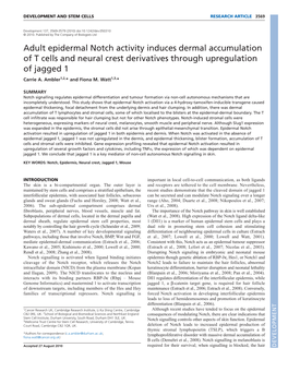 Adult Epidermal Notch Activity Induces Dermal Accumulation of T Cells and Neural Crest Derivatives Through Upregulation of Jagged 1 Carrie A