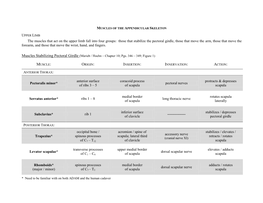 The Muscles That Act on the Upper Limb Fall Into Four Groups