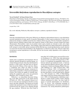 Irreversible Thelytokous Reproduction in Muscidifurax Uniraptor