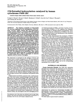 17F8-Estradiol Hydroxylation Catalyzed by Human Cytochrome P450 Lbl (Catechol Estrogen/Indole Carbinol/Dioxin/Breast Cancer/Uterine Cancer) CARRIE L