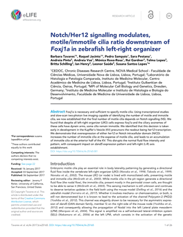 Notch/Her12 Signalling Modulates, Motile/Immotile Cilia Ratio