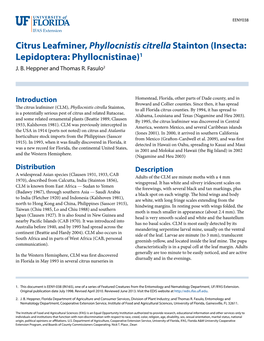 Citrus Leafminer, Phyllocnistis Citrella Stainton (Insecta: Lepidoptera: Phyllocnistinae)1 J