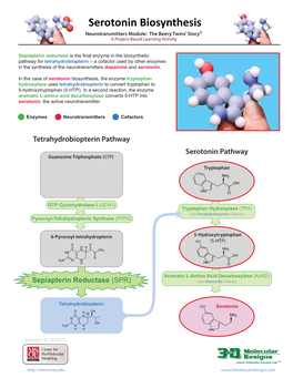 Serotonin Biosynthesis Neurotransmitters Module: the Beery Twins’ Story© a Project-Based Learning Activity