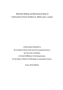 Molecular Biology and Biochemical Study of Lachrymatory Factor Synthase in Allium Cepa L. (Onion)