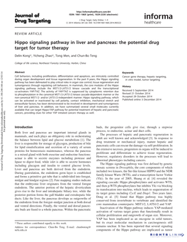 Hippo Signaling Pathway in Liver and Pancreas: the Potential Drug Target for Tumor Therapy