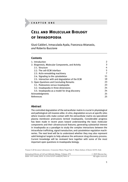 Cell and Molecular Biology of Invadopodia