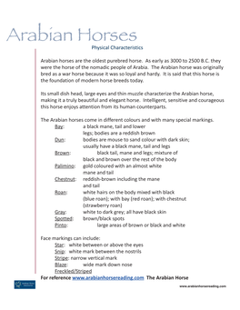 Arabian Horsesphysical Characteristics