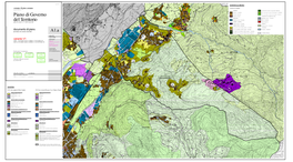 Piano Di Governo Del Territorio