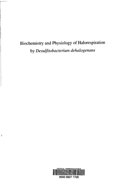 Biochemistry and Physiology of Halorespiration by Desulfitobacterium Dehalogenans