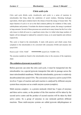 Citric Acid Cycle