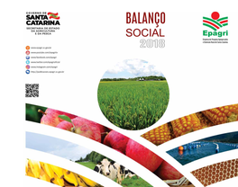 Balanço Social