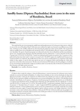 Sandfly Fauna (Diptera: Psychodidae) from Caves in the State of Rondônia