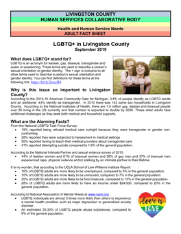 Fact Sheet LGBTQ+ Adult