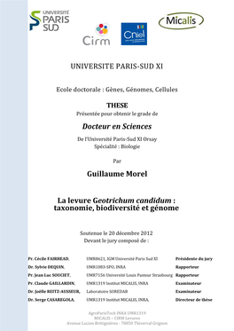 Docteur En Sciences Guillaume Morel La Levure Geotrichum