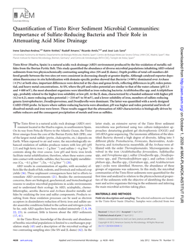 Quantification of Tinto River Sediment Microbial Communities