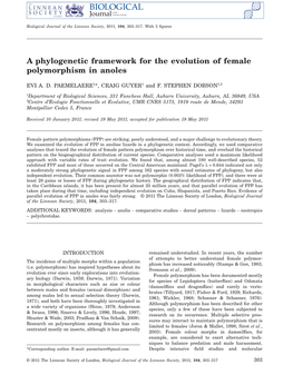 A Phylogenetic Framework for the Evolution of Female Polymorphism in Anoles