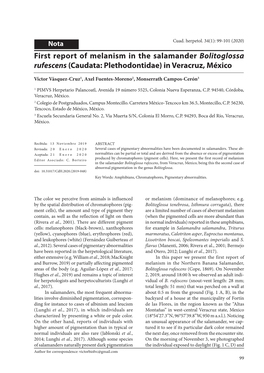 First Report of Melanism in the Salamander Bolitoglossa Rufescens (Caudata: Plethodontidae) in Veracruz, México