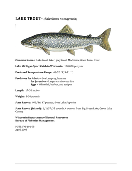 LAKE TROUT­ (Salvelinus Namaycush)