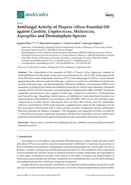 Antifungal Activity of Thapsia Villosa Essential Oil Against Candida, Cryptococcus, Malassezia, Aspergillus and Dermatophyte Species