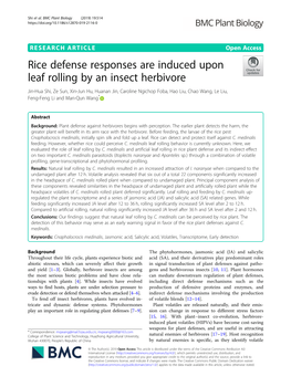 Rice Defense Responses Are Induced Upon Leaf Rolling by an Insect