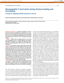 Neuropeptide Y Innervation During Fracture Healing and Remodeling a Study of Angulated Tibial Fractures in the Rat