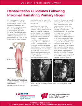 Rehabilitation Guidelines Following Proximal Hamstring Primary Repair