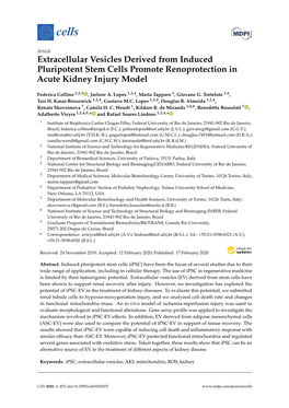 Extracellular Vesicles Derived from Induced Pluripotent Stem Cells Promote Renoprotection in Acute Kidney Injury Model